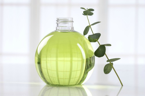 shutterstock_eucalyptus