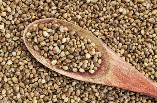 shutterstock_hemp