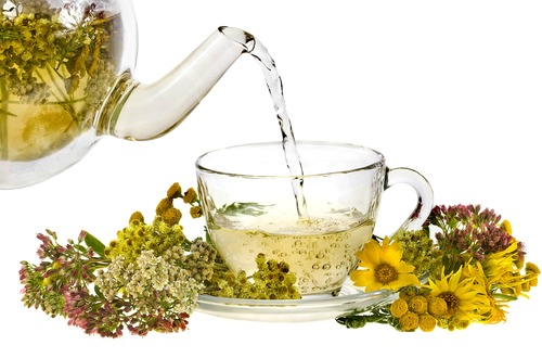 shutterstock_herb