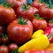 tomato & pepper M