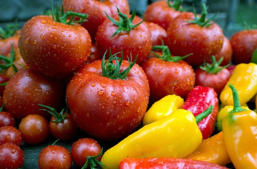 tomato & pepper M