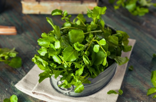 watercress M