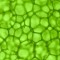 chlorophyll m