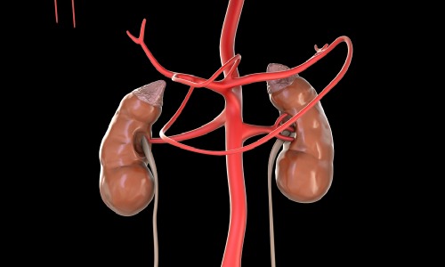 adrenal m