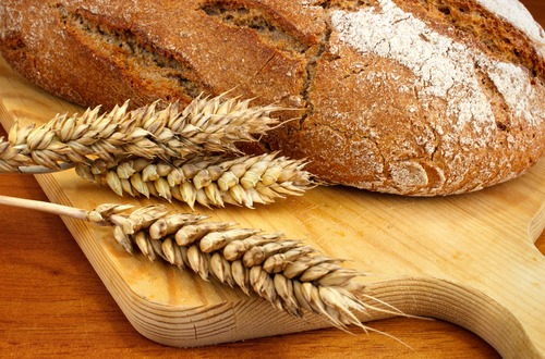 wheat gluten m