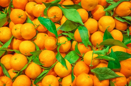 mikan m