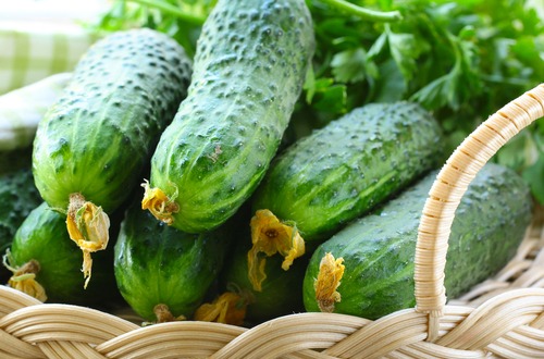 cucumbers m