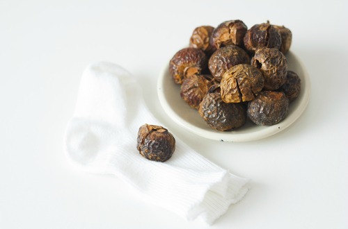 soapnuts m