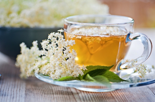 shutterstock_135850886