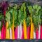 Swiss chard M