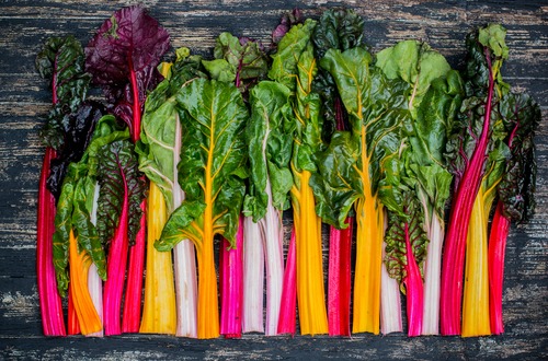 Swiss chard M