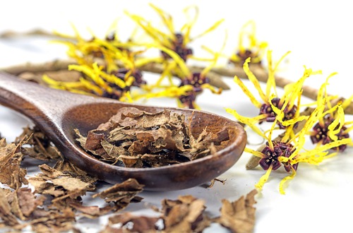 witch hazel M