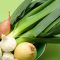 allium-vegetables-m