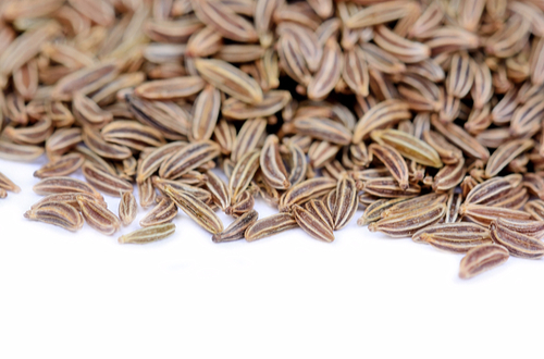 caraway-herb
