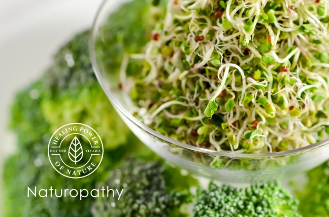 broccoli sprouts - eyecatch