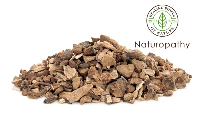 Wild yam root-eyecatch