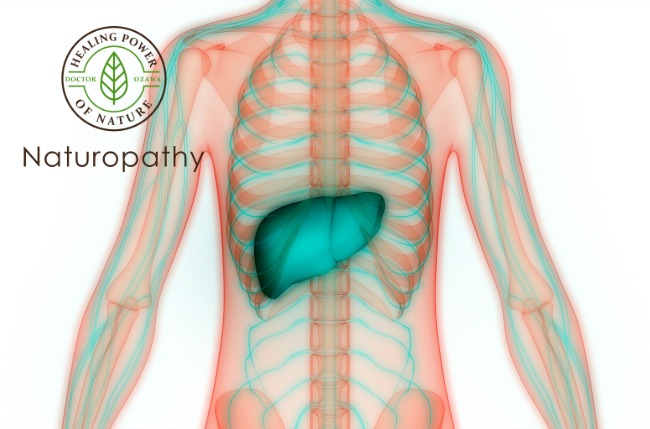 liver health 650