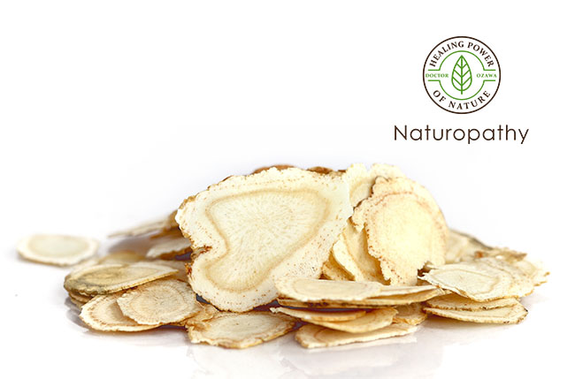 american ginseng roots sliced-eyecatch