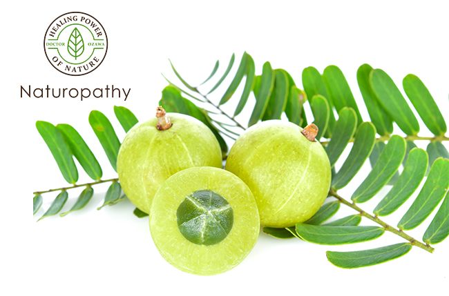 amla-eyecatch
