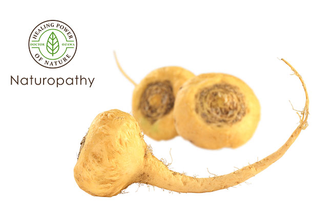 fresh maca root-eyecatch