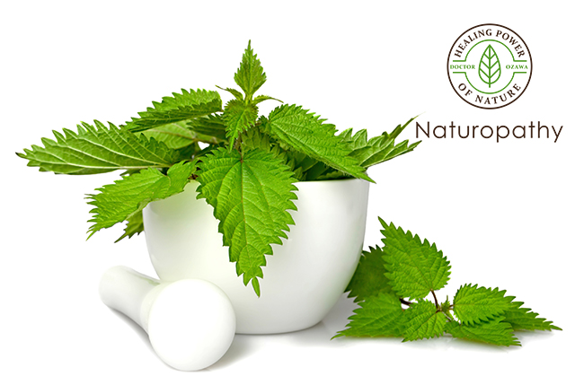 nettle in mortar-eyecatch