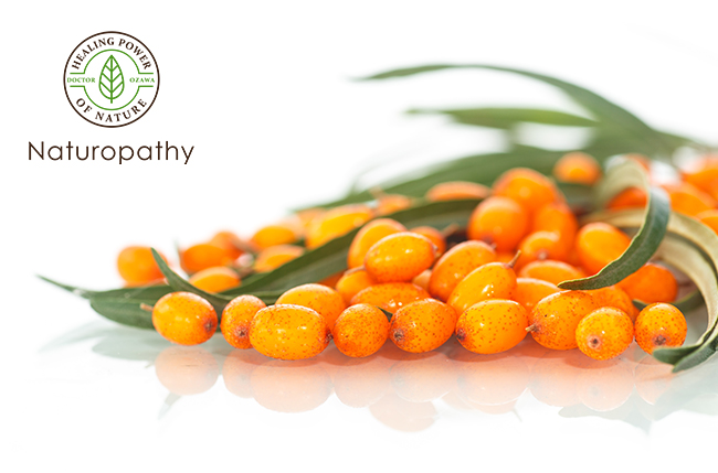 sea buckthorn-eyecatch