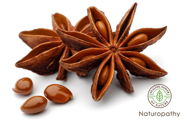star anise-eyecatch