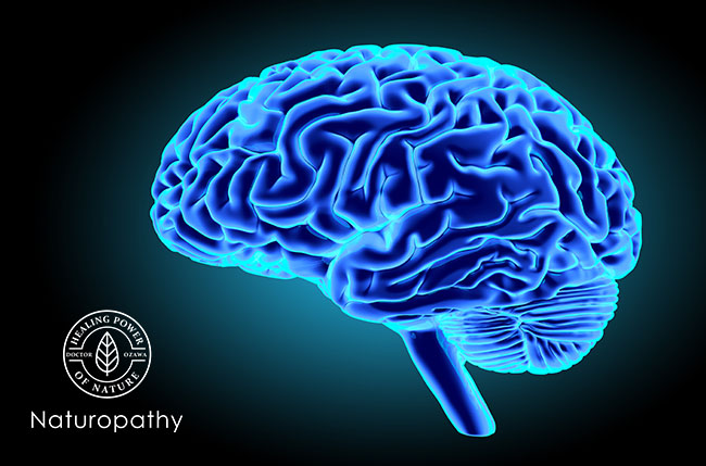 brain 121918-eyecatch