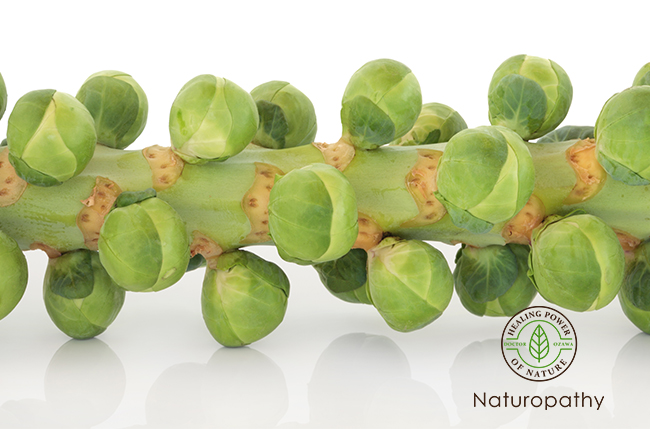 brussel sprouts on stem-eyecatch