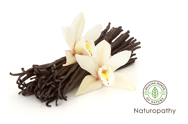 vanilla flower and beans-eyecatch