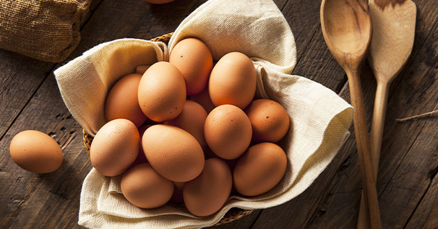 卵はタンパク質の宝庫