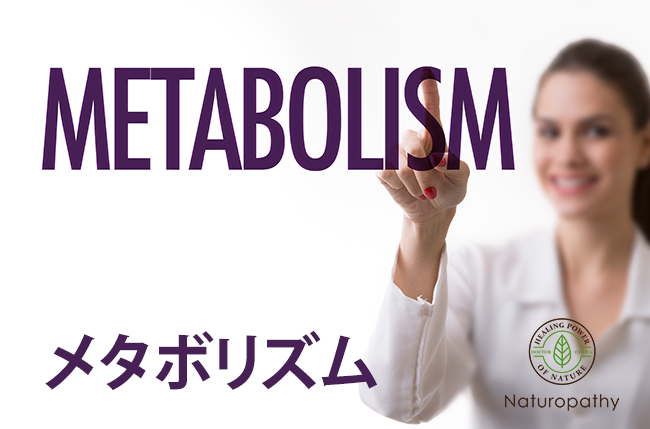 metabolism-eyecatch