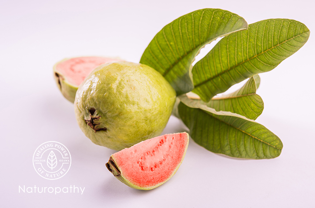 guava fruit and leaves-eyecatch
