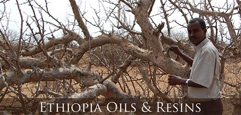 Ethiopia Oils&Resins