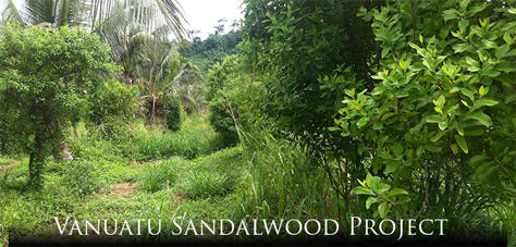 Vanuatu Sandalwood Project