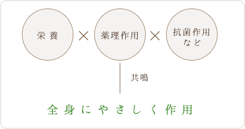 全身にやさしく作用