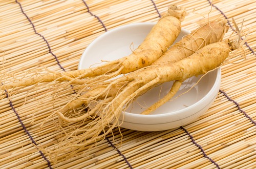 高麗人参
