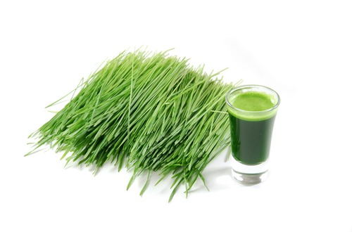 wheat grass M