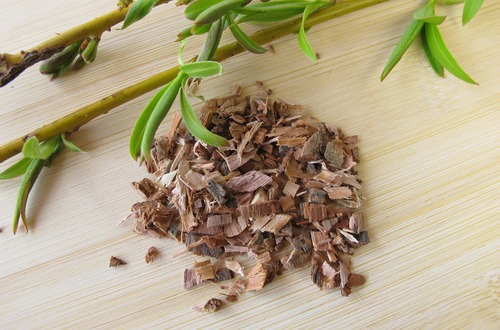 Willow Bark m
