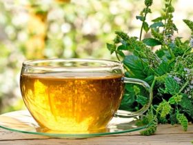 herb tea detox m