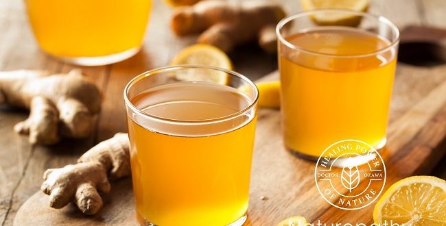 KOMBUCHA