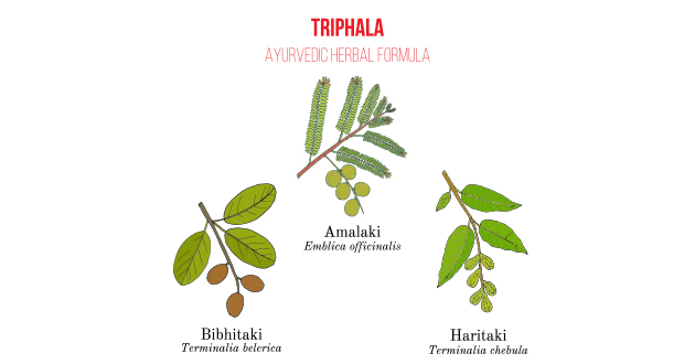 トリファラは、アーユルベーダの中で最も優れた調合薬