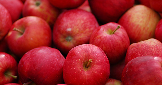 りんごの皮はペクチンが豊富