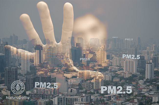 pm2.5の影響を軽減するサプリとは